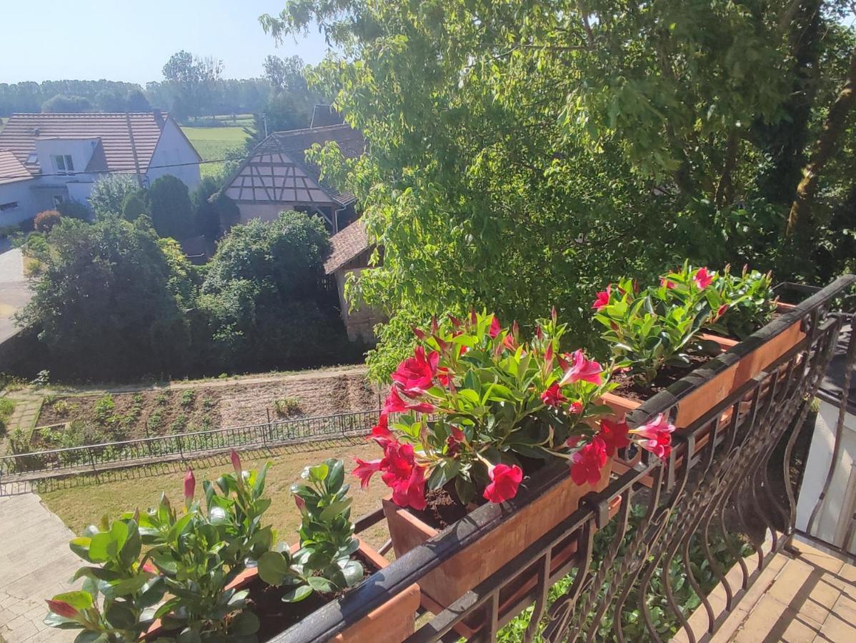 Appartement Des Rives De L'Ehn Krautergersheim 外观 照片